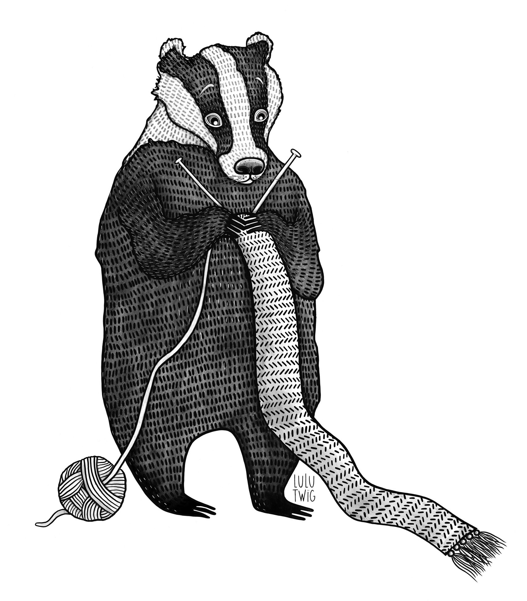 Portfolio image